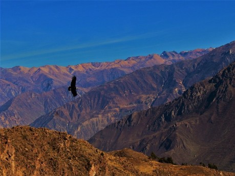 Colca Canyon