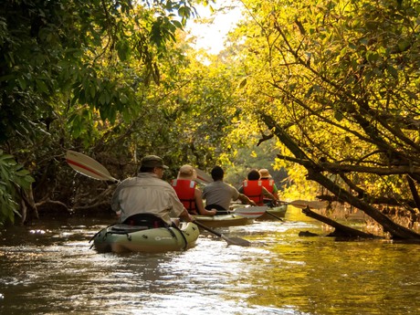 Kayakausflug